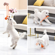 Load image into Gallery viewer, Solid Rubber Rope Ball Dog Toy Bite Resistant Chew Ball with Rope Handle for Interactive Tug of War & Outdoor Fetch Training Toy for Medium Large Dogs