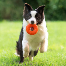 Load image into Gallery viewer, TPR Spiky Ring Dog Toy Squeaky Chew Toy for Large Breed Dogs Durable Teeth Cleaning Massage Toy Heavy Duty Interactive Puppy Biting Ring