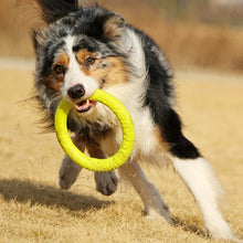 Load image into Gallery viewer, Dog Agility Flying Ring Toy for Medium Large Dogs Soft Chew Resistant Bite Proof Outdoor Park Water Beach Interactive Pet Training Flying Ring