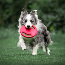 Load image into Gallery viewer, Floating Dog Flying Disc Toy Interactive Pet Flyer Throwing Disc for Outdoor Beach Pool Fetch Durable Easy Grip Steering Wheel Design for Medium Large Dogs