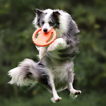 Load image into Gallery viewer, Floating Dog Flying Disc Toy Interactive Pet Flyer Throwing Disc for Outdoor Beach Pool Fetch Durable Easy Grip Steering Wheel Design for Medium Large Dogs