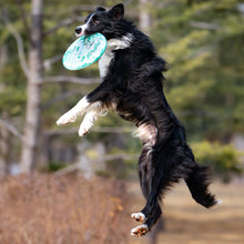 Load image into Gallery viewer, Dog Flying Disc 18cm 22cm Floating Bite Resistant Toy Waterproof Soft for Medium Large Dogs Outdoor Fetch Training Beach Pool Toy Pet Agility Equipment