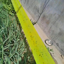 Load image into Gallery viewer, 5M Yellow Double Sided Self Adhesive Insect Proof Barrier Tape Garden Orchard Ant Moth Outdoor Pest Control Trap