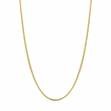 Load image into Gallery viewer, Titanium Steel Snake Chain Necklace Gold Silver Color Punk Hip Hop Long Neck Chain Fashion Jewelry Gift For Men Women