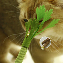 Load image into Gallery viewer, Silvervine Cat Chew Toys Teeth Cleaning Molar Stick Bell Interactive Self Playing Squeaky Wear Resistant Anti Bite Pet Cat Toy
