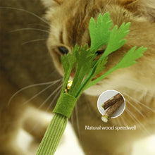 Load image into Gallery viewer, Silvervine Cat Chew Toys Teeth Cleaning Molar Stick Bell Interactive Self Playing Squeaky Wear Resistant Anti Bite Pet Cat Toy