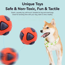 Load image into Gallery viewer, Pet Toy Dog Feeding Toy Clean Teeth Toothbrush Teeth Grinding Ball Chew Toys Teeth Cleaning Stick Pet Products