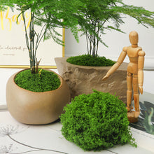 Load image into Gallery viewer, Artificial Moss Sheet Fake Moss Mat Green Grass for Potted Plant Decoration DIY Terrarium Micro Landscape Bonsai Garden Supplies