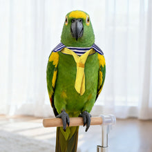 Load image into Gallery viewer, Cute Adjustable Small Bird Bow Tie Pet Necktie Collar Decoration for Budgie Parakeet Cockatiel Lovebird Wedding Birthday Halloween Christmas Photo Prop