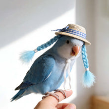 Load image into Gallery viewer, Small Pet Straw Hat with Braids Adjustable Cap for Hamster Budgie Cockatiel Cute Photo Prop Animal Costume for Creative Videos