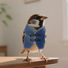 Load image into Gallery viewer, Adjustable Vintage Faux Leather Bird Vest Pet Parrot Coat for Daily Wear Bird Apparel Easy On/Off Bird Accessories