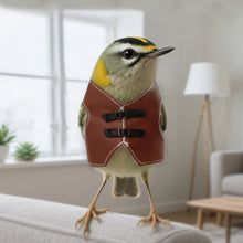 Load image into Gallery viewer, Adjustable Vintage Faux Leather Bird Vest Pet Parrot Coat for Daily Wear Bird Apparel Easy On/Off Bird Accessories