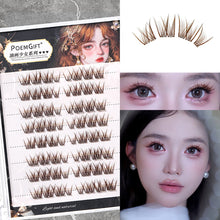 Load image into Gallery viewer, Natural Dark Brown Butterfly Glue Free False Eyelashes Makeup Grafting Segmented Simulation Novice False Eyelashes
