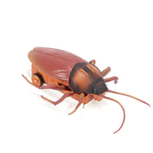 Load image into Gallery viewer, Creativity Prank 2-in-1 RC Wall Climbing Roach Car Ground + Wall Crawl Funny Prank Toy for Kids Boys Girls