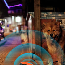 Load image into Gallery viewer, New USB Rechargeable Dual-head Ultrasonic High Power Pet Training Control Device With Lighting Flashlight