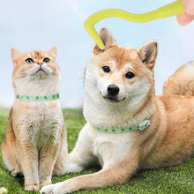 Load image into Gallery viewer, 3 Pcs Pet Flea Remover Tool Set Multifunctional Insect Removal Tweezers For Cats Dogs Pet Grooming Cleaning