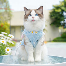 Load image into Gallery viewer, Summer Floral Printed Mesh Lace Pet Dress With Bow Cute Flower Puppy Kitty Costume Clothes For Small Dogs Cats