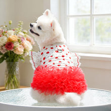 Load image into Gallery viewer, Rose Floral Lace Pet Princess Dress Thin Breathable Flutter Sleeves Tutu Skirt With Bowknot Leash Clothes for Small Dogs Cats