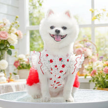 Load image into Gallery viewer, Rose Floral Lace Pet Princess Dress Thin Breathable Flutter Sleeves Tutu Skirt With Bowknot Leash Clothes for Small Dogs Cats