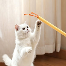 Load image into Gallery viewer, 2 In 1 Retractable Double Sided Cat Teaser Wand Multifunctional Massage Scratcher Interactive Pet Toy For Kittens