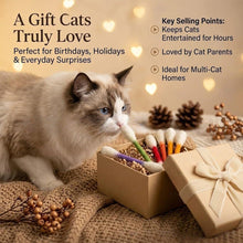 Load image into Gallery viewer, 6Pcs Giant Cotton Swab Shaped Catnip Cat Toy Durable Chewing Teething Dental Rope Interactive Kitten Play Accessory