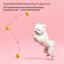 Load image into Gallery viewer, Pet Squeaky Spike Hedgehog Plush Dog Ball Bouncy Crinkle Chew Resistant Puppy Toy For Small Dogs