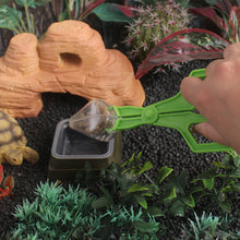 Load image into Gallery viewer, Reptile Feeding Tongs Long Handle Capture Tweezers for Lizards Geckos Spiders Non-Slip Rounded Tip for Crickets Roaches Pet Feeder Tool & Poop Cleaner