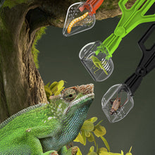 Load image into Gallery viewer, Reptile Feeding Tongs Long Handle Capture Tweezers for Lizards Geckos Spiders Non-Slip Rounded Tip for Crickets Roaches Pet Feeder Tool & Poop Cleaner