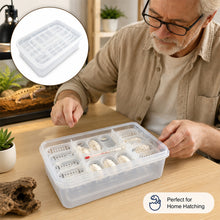 Load image into Gallery viewer, 16-Cell Reptile Egg Incubation Tray Clear Hatching Container for Gecko Snake Lizard Eggs Observable Breeding Kit for Home Breeder