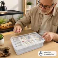 Load image into Gallery viewer, 16-Cell Reptile Egg Incubation Tray Clear Hatching Container for Gecko Snake Lizard Eggs Observable Breeding Kit for Home Breeder