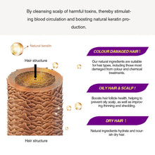 Load image into Gallery viewer, Onion Rosemary Black Rice Hair Spray Scalp Essence for Root Strengthening Anti-Breakage Hair Care Spray No Rinse Daily Use for Hair Fall Concern