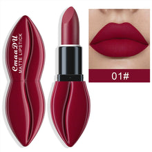 Load image into Gallery viewer, 10 Colors Matte Lipstick Lip Cream Long Lasting Waterproof Smudge Proof Velvet Nude Red Pink Natural Day Night Makeup