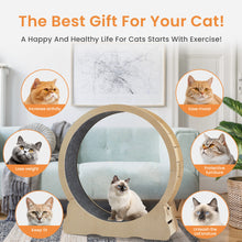Load image into Gallery viewer, Cat Exercise Wheel - Indoor Cat Treadmill with Carpeted Running Track, Safety Cat Treadmill with Latch, Weighted Wheel for Cats, Add Fun to Cat Exercise, Natural Wood Color,35.8"L x 12.6"W x 38.2"H