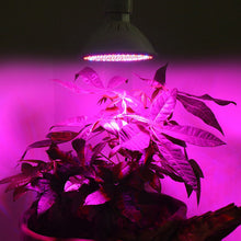 Load image into Gallery viewer, E27 200LED Plant Grow Light Red Blue Hydroponic Flower Veg Growing Lamp 24W