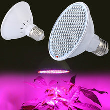 Load image into Gallery viewer, E27 200LED Plant Grow Light Red Blue Hydroponic Flower Veg Growing Lamp 24W