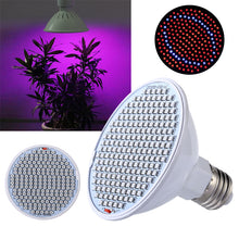 Load image into Gallery viewer, E27 200LED Plant Grow Light Red Blue Hydroponic Flower Veg Growing Lamp 24W