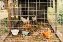 Load image into Gallery viewer, Hardware Cloth 1/4 inch 36in x 100ft 23 Gauge, Hot-dip Galvanized After Welding Chicken Wire Fence Roll Garden Plant Welded Metal Wire Fencing Roll, Rabbit Cages Snake Fence