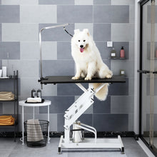 Load image into Gallery viewer, Hydraulic Dog Pet Grooming Table Heavy Duty Big Size Z-Lift Pet Grooming Table