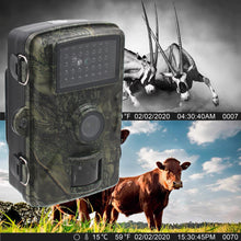 Load image into Gallery viewer, 12MP 1080P Night Vision Clear Wildlife Hunting Trail Game Camera IP66 Outdoor Camouflage surveillance Motion Scouting Camera