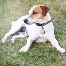 Load image into Gallery viewer, Pet Smart GPS Tracker Locator Bell Mini Anti-Lost Waterproof Positioning Tracker Locating Collar Wifi Real-time Tracking For Pet Dog Cat Kids