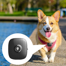 Load image into Gallery viewer, 4G GPS Pet Tracker Smart GPS Locator Dog Location Tracker Waterproof Anti-Lost Pet Collar Device 4G LTE Coverage Worldwide