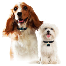 Load image into Gallery viewer, 4G GPS Pet Tracker Intelligent Anti-Lost Tracker Locator Smart Dog / Cat Collar Waterproof USB Charging