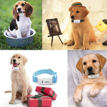 Load image into Gallery viewer, TKSTAR Universal Intelligent GPS Pet Dog Tracker Locator Anti-fall Cat Tracker Collar With GPS Positioning Geofence APP Control