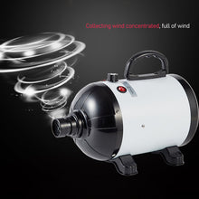 Load image into Gallery viewer, Hair Dryer For Dogs Pet Cat Dog Grooming Blower Warm Wind Secador Fast Blow-Dryer For Small Medium Large Dog Dryer