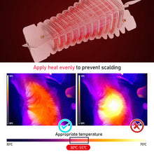 Load image into Gallery viewer, Hair Dryer For Dogs Pet Cat Dog Grooming Blower Warm Wind Secador Fast Blow-Dryer For Small Medium Large Dog Dryer