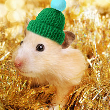 Load image into Gallery viewer, Snake Hat Guinea Pig Hat Hamster Hat with Adjustable Chin Strap for Chinchilla Ferret Hedgehogs Small Animal Outfit Suit Cosplay
