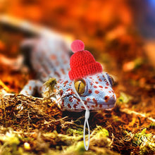 Load image into Gallery viewer, Snake Hat Guinea Pig Hat Hamster Hat with Adjustable Chin Strap for Chinchilla Ferret Hedgehogs Small Animal Outfit Suit Cosplay