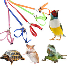 Load image into Gallery viewer, 8-shaped Bird Harness Leash Parrot Bird Hamster Turtle Lizard Traction Rope Reins Pet Strap Leash Parrot Vest Rope