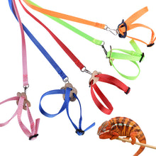 Load image into Gallery viewer, 8-shaped Bird Harness Leash Parrot Bird Hamster Turtle Lizard Traction Rope Reins Pet Strap Leash Parrot Vest Rope