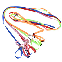 Load image into Gallery viewer, 8-shaped Bird Harness Leash Parrot Bird Hamster Turtle Lizard Traction Rope Reins Pet Strap Leash Parrot Vest Rope